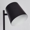 TONTOLOS Floor Lamp LED black, 1-light source
