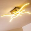 Mapleton ceiling light LED matt nickel, 4-light sources