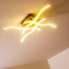 Mapleton ceiling light LED matt nickel, 4-light sources