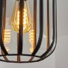 QUESADA Pendant Light black, 1-light source