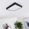 KRAGOS Ceiling Light LED black, white, 1-light source