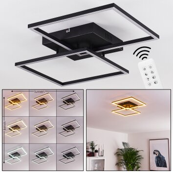 CHEKA Ceiling Light LED black, 2-light sources, Remote control