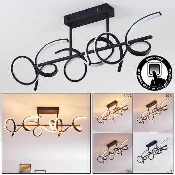 GORA Ceiling Light LED black, 3-light sources