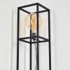 FLAMBEAU Floor Lamp black, 1-light source