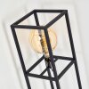 FLAMBEAU Floor Lamp black, 1-light source