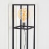 FLAMBEAU Floor Lamp black, 1-light source