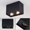 Betsie Ceiling Light black, 2-light sources