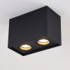 Betsie Ceiling Light black, 2-light sources