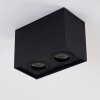 Betsie Ceiling Light black, 2-light sources