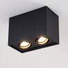Betsie Ceiling Light black, 2-light sources