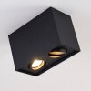 Betsie Ceiling Light black, 2-light sources