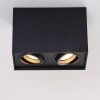 Betsie Ceiling Light black, 2-light sources