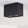 Betsie Ceiling Light black, 2-light sources