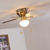 TRILLO ceiling fan grey, matt nickel, white, 1-light source