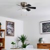 TRILLO ceiling fan grey, matt nickel, white, 1-light source