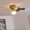 TRILLO ceiling fan grey, matt nickel, white, 1-light source