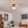 TRILLO ceiling fan grey, matt nickel, white, 1-light source