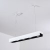 BACOOR Pendant Light LED black, white, 5-light sources