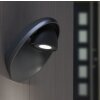 Lutec EGGO outdoor wall light LED anthracite, 3-light sources