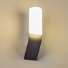 Outdoor Wall Light Bovlund LED black, 1-light source