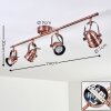 ANIAK Ceiling Light LED copper, 4-light sources