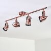 ANIAK Ceiling Light LED copper, 4-light sources