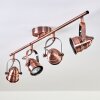 ANIAK Ceiling Light LED copper, 4-light sources