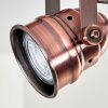 ANIAK Ceiling Light LED copper, 4-light sources