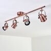 ANIAK Ceiling Light LED copper, 4-light sources