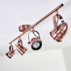 ANIAK Ceiling Light LED copper, 4-light sources