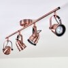 ANIAK Ceiling Light LED copper, 4-light sources