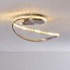 Saginaw Ceiling Light LED matt nickel, 1-light source, Remote control, Colour changer