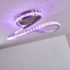 Saginaw Ceiling Light LED matt nickel, 1-light source, Remote control, Colour changer