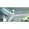 Globo FERRO fan white