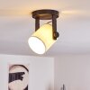 GIBRALTAR Ceiling Light black, 1-light source