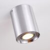 BETSIE Ceiling Light matt nickel, 1-light source