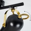 RIALEY Ceiling Light brass, black, 3-light sources