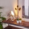 Novilly Table Lamp Light wood, 1-light source