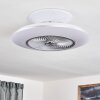 NAGOYA ceiling fan LED white, 1-light source, Remote control
