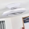 NAGOYA ceiling fan LED white, 1-light source, Remote control