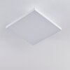 BUENAVENTURA Ceiling Light LED white, 1-light source, Remote control