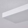 BUENAVENTURA Ceiling Light LED white, 1-light source, Remote control