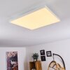 COR Ceiling Light LED white, 1-light source, Remote control