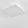 SORDOS Ceiling Light LED white, 1-light source, Motion sensor