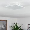 SORDOS Ceiling Light LED white, 1-light source, Motion sensor