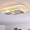 MANZANALESÂ  Ceiling Light LED chrome, 1-light source, Remote control
