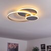 MANZANALESÂ  Ceiling Light LED chrome, silver, 1-light source, Remote control