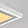 SALAMO Ceiling Light LED white, 2-light sources, Remote control