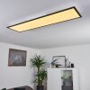 NEXO Ceiling Light LED black, 1-light source, Remote control