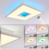 TURBALÁ Ceiling Light LED white, 2-light sources, Remote control, Colour changer